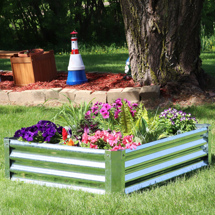 Williston Forge Haile Galvanized Steel Planter Box Reviews Wayfair   Haile Galvanized Steel Planter Box 